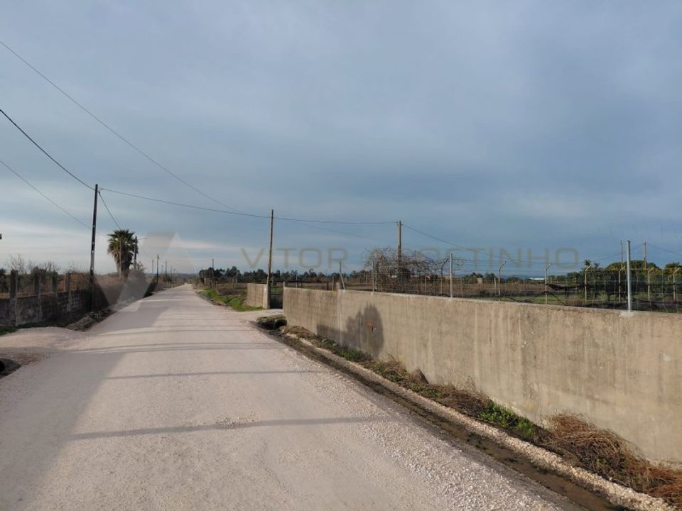 Helårsgrund i Almeirim, Santarem - foto 4