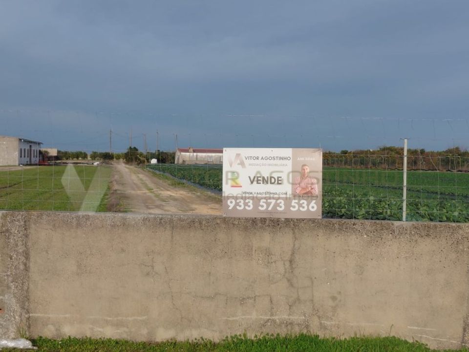 Helårsgrund i Almeirim, Santarem - foto 5
