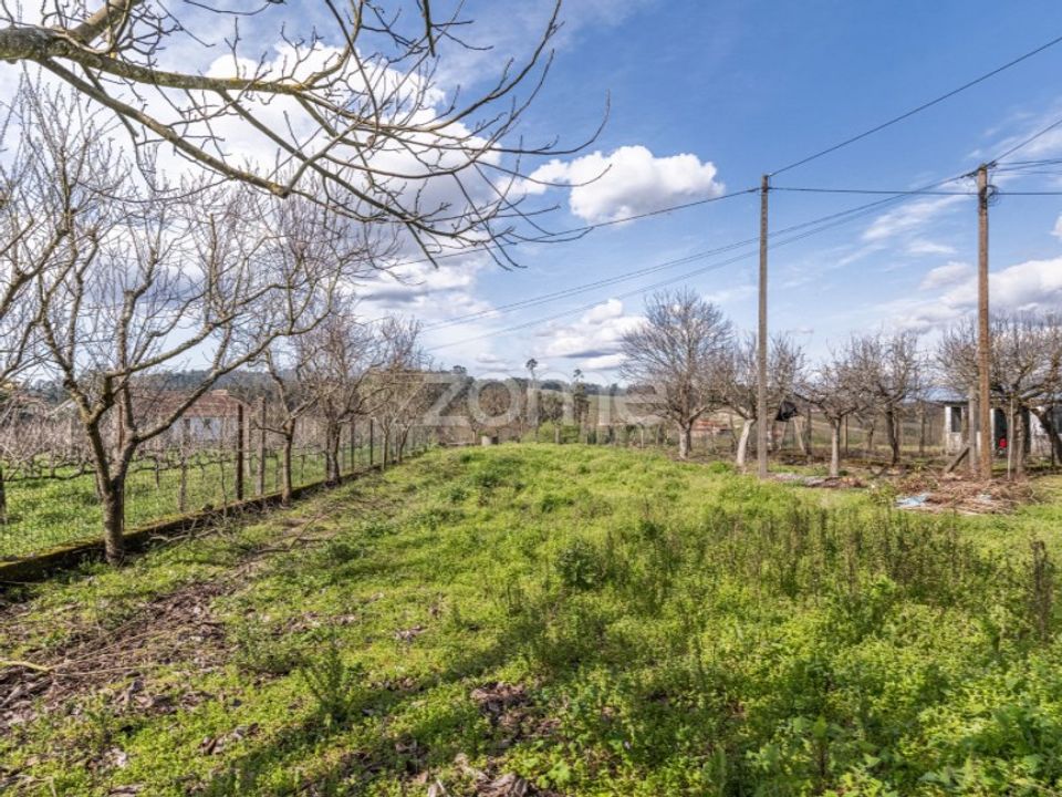Farm i Lousada, Porto - foto 1