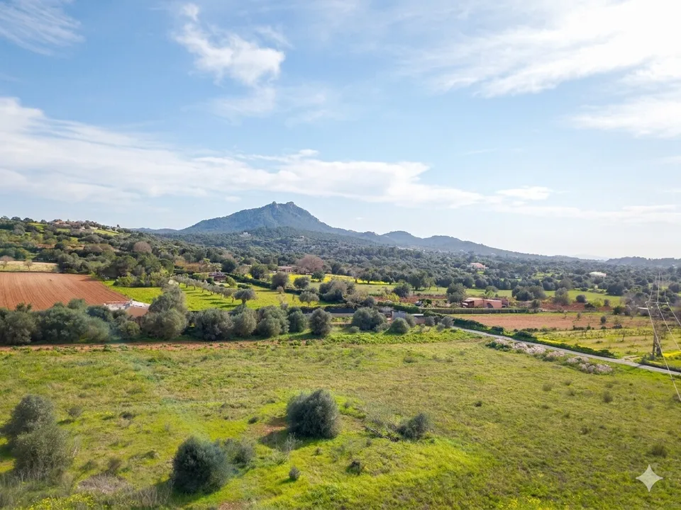 Helårsgrund i Felanitx, Mallorca - foto 1