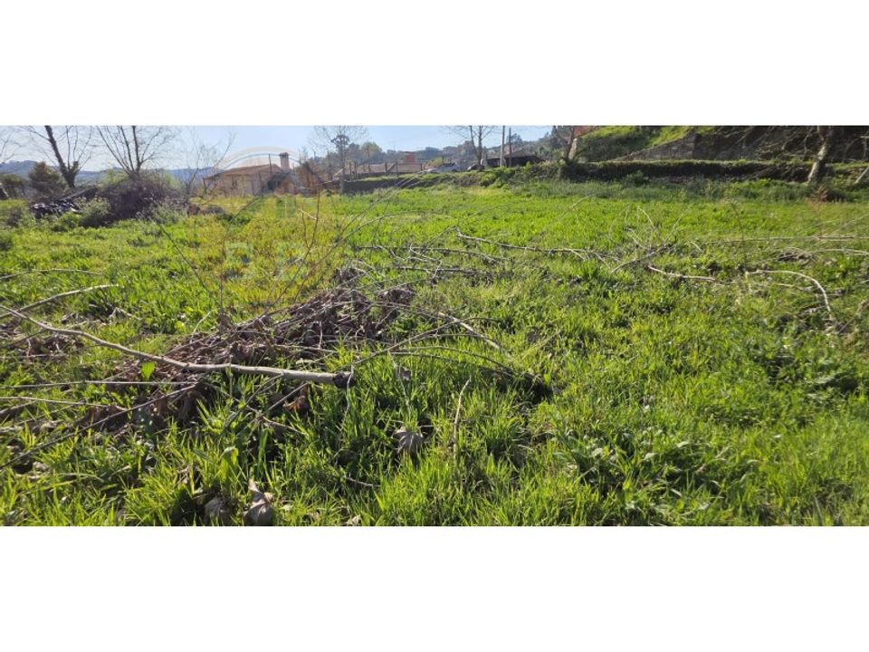 Tomt i Alvite e Passos, Braga - bilde 3