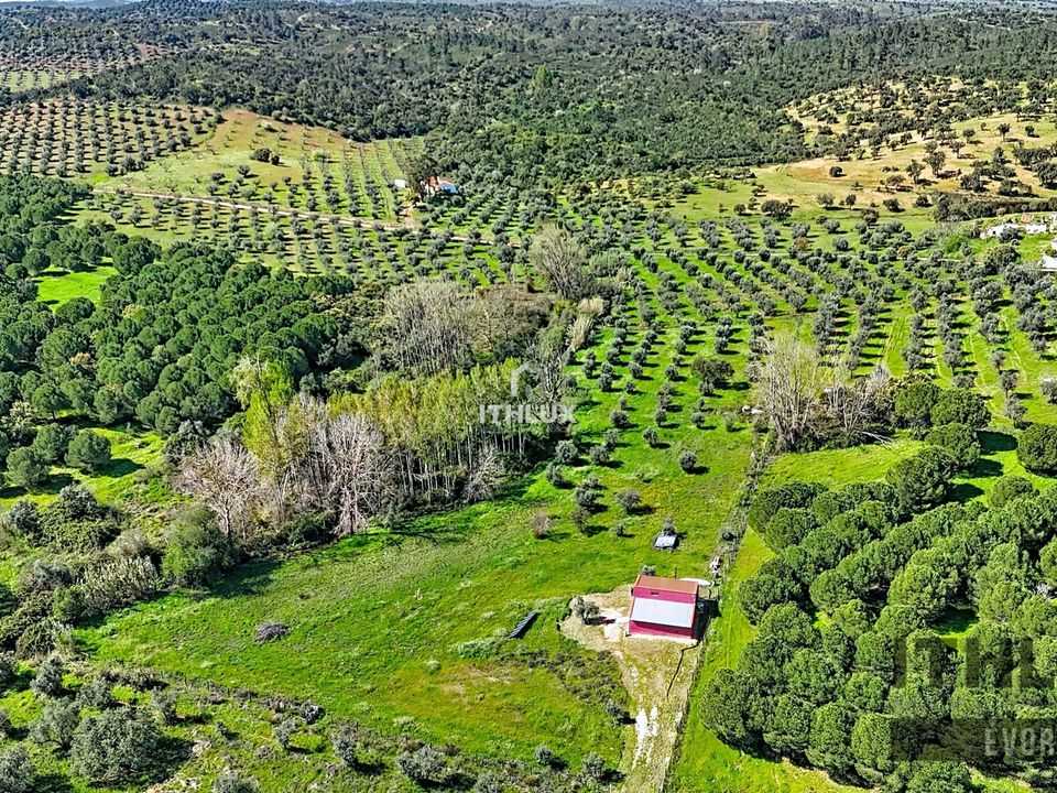 Casa de campo en Portel, Evora - foto 1