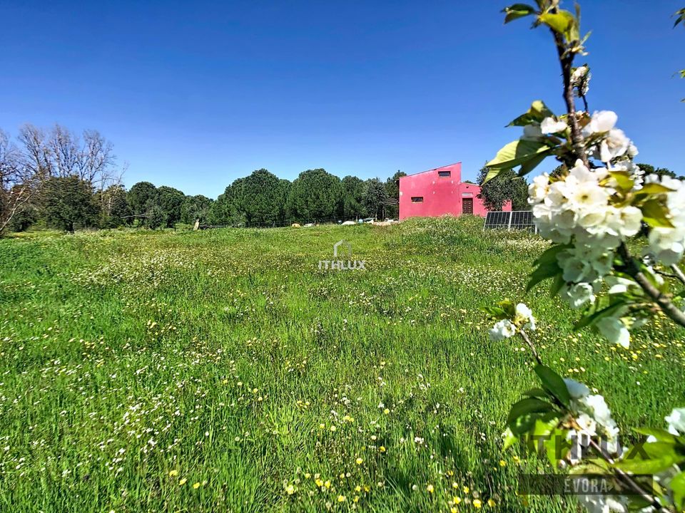 Casa de campo en Portel, Evora - foto 4