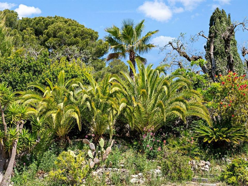 Villa a Mougins, Alpes-Maritimes - foto 5