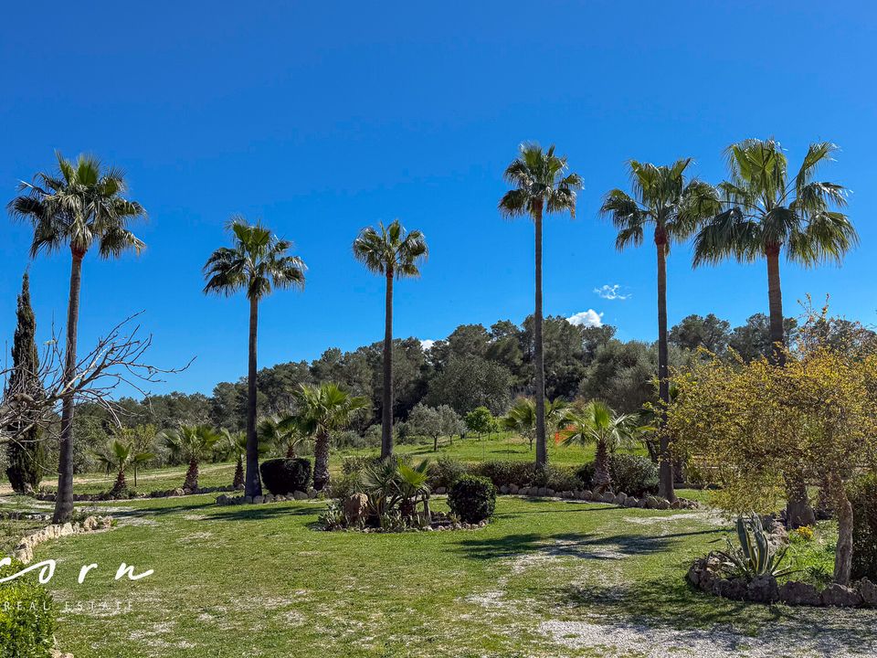 Landejendom i Sineu, Mallorca - foto 3