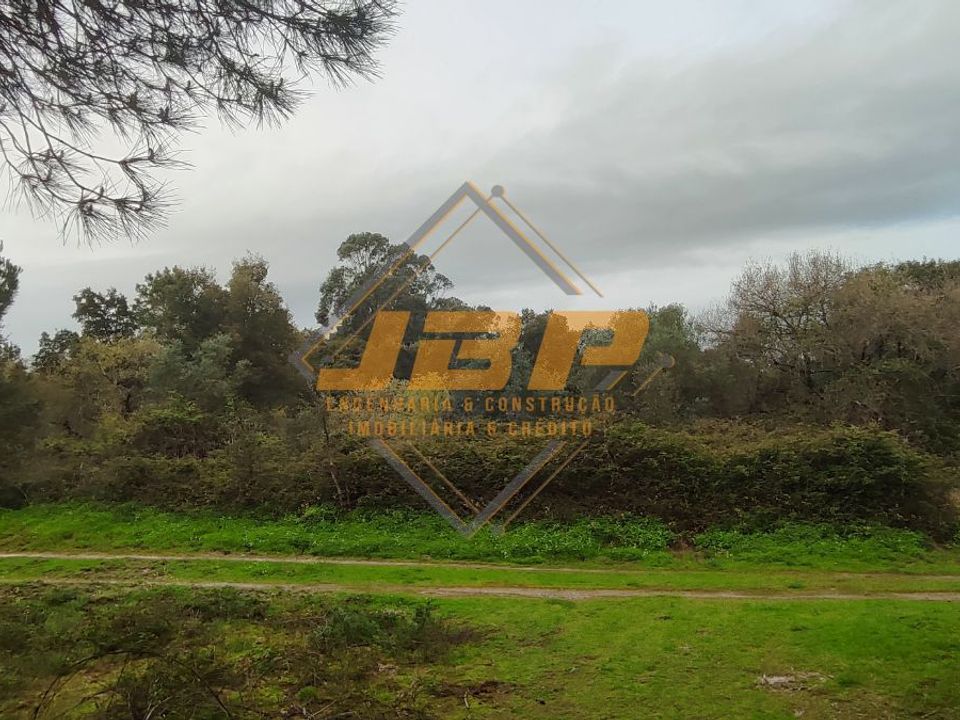 Helårsgrund i Cartaxo, Santarem - foto 3