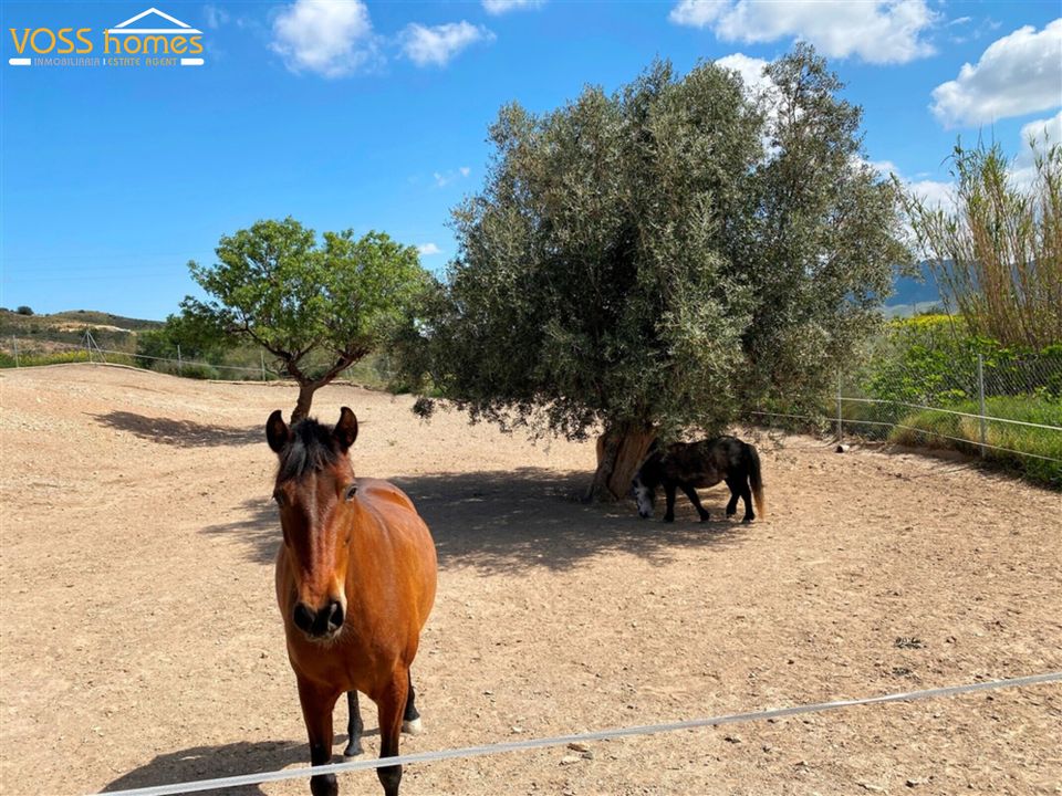 Landejendom i Huercal-Overa, Almeria - foto 1