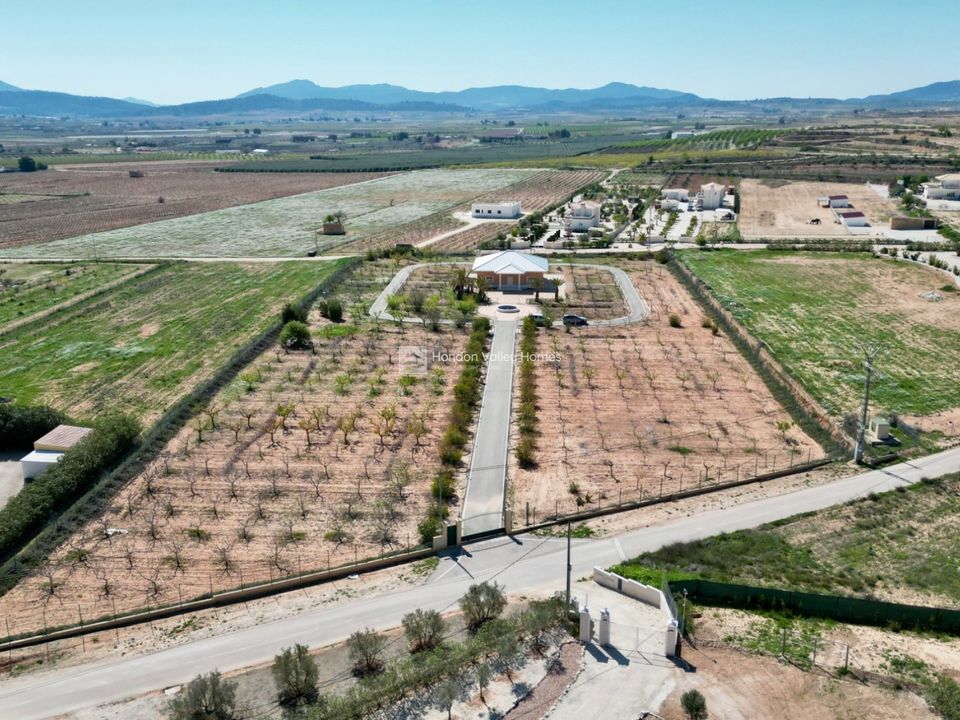 Landejendom i Pinoso, Alicante - foto 1