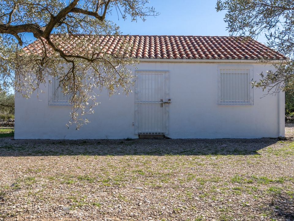 Finca en Mas De Barberans, Tarragona - foto 1