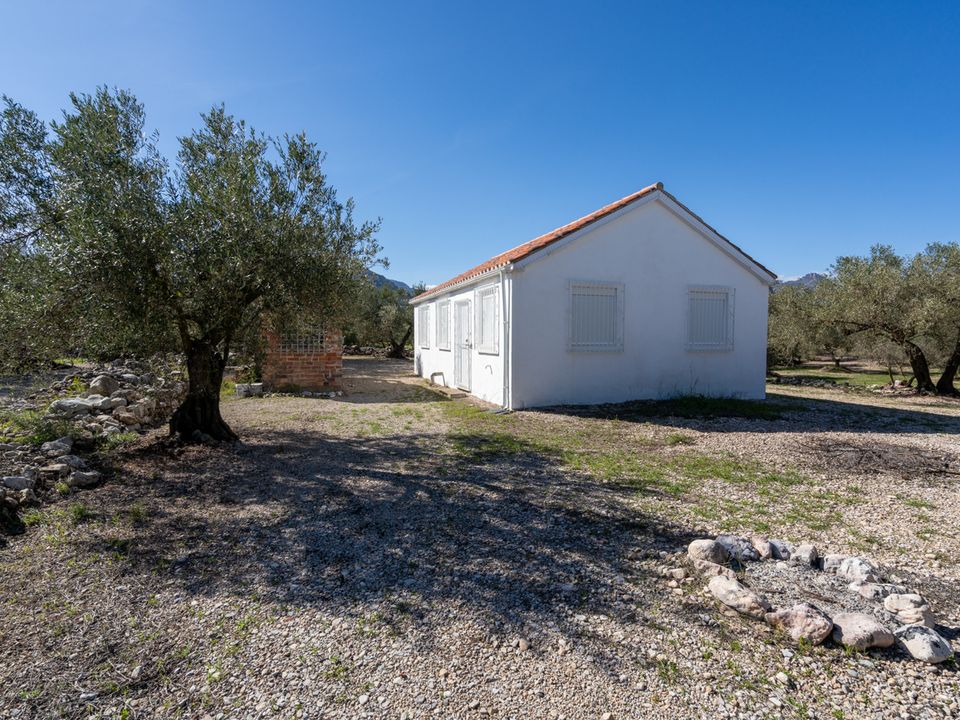 Finca en Mas De Barberans, Tarragona - foto 4
