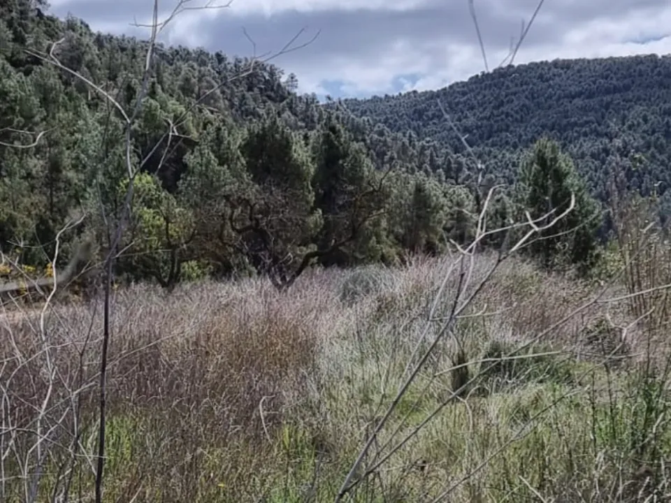 Finca i Caseres, Tarragona - foto 4
