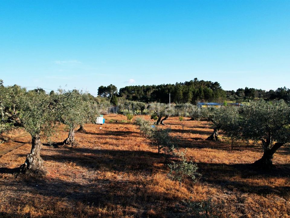 Terra a Penamacor, Castelo Branco - foto 3