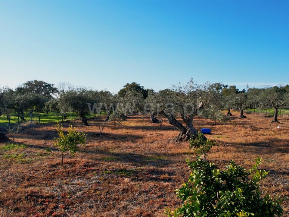 Terra a Penamacor, Castelo Branco - foto 4
