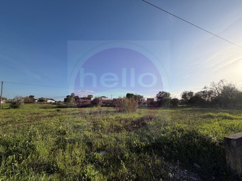 Helårsgrund i Tomar, Santarem - foto 5