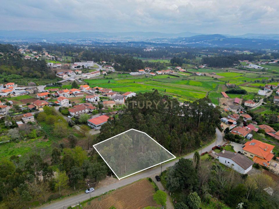 Helårsgrund i Barcelos, Braga - foto 5