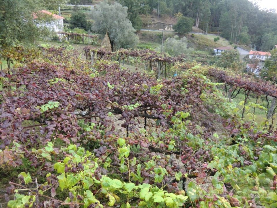 Villa i Azere, Viana do Castelo - foto 3