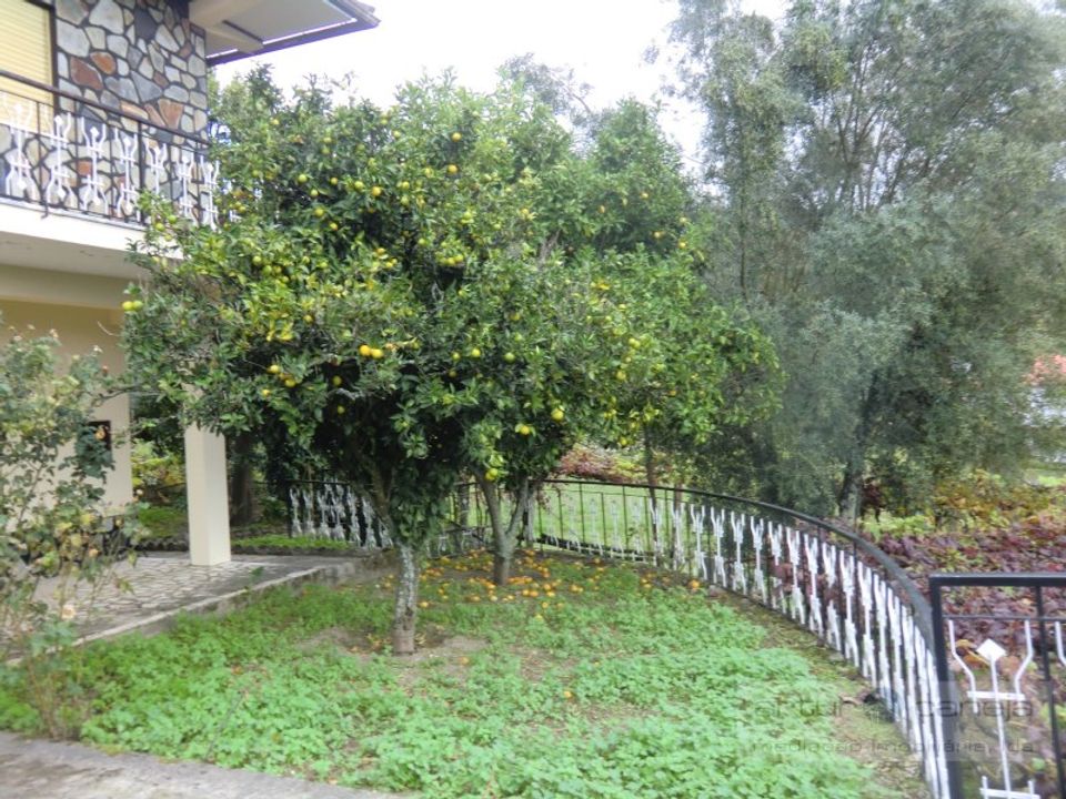 Villa i Azere, Viana do Castelo - foto 4