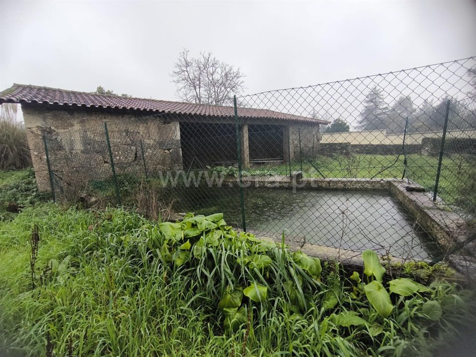 Helårsgrund i Barcelos, Braga - foto 5