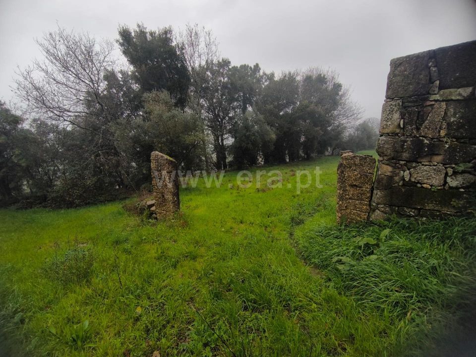 Helårsgrund i Barcelos, Braga - foto 1