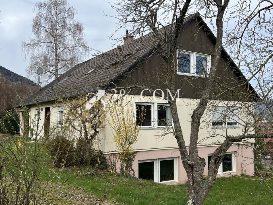 Villa i Dieffenbach-Au-Val, Bas-Rhin - foto 5