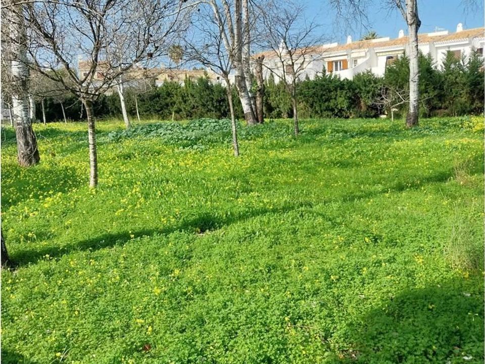 Penthouse i Denia, Alicante - bilde 5