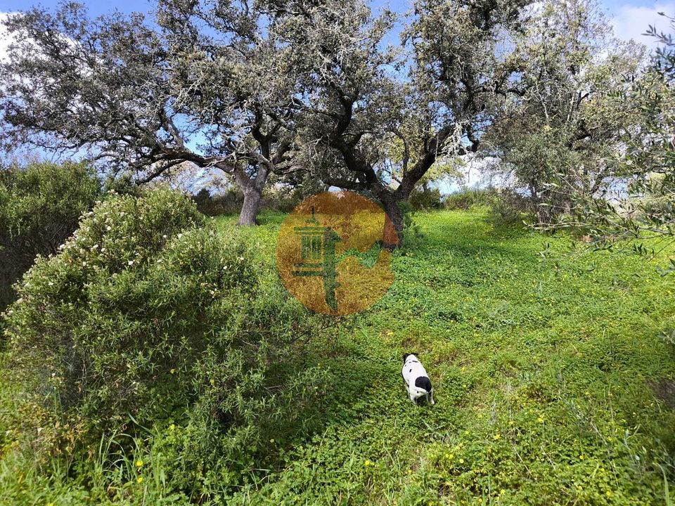 Helårsgrund i Castro Marim, Faro - foto 3
