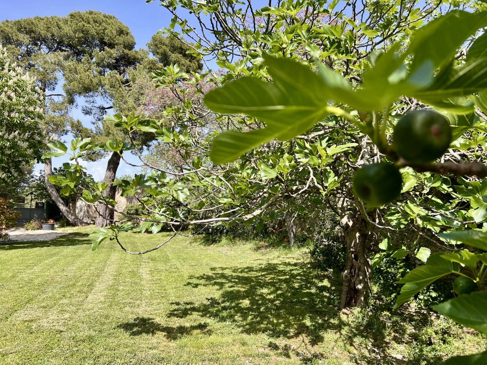 Villa i Carcassonne, Aude - foto 2