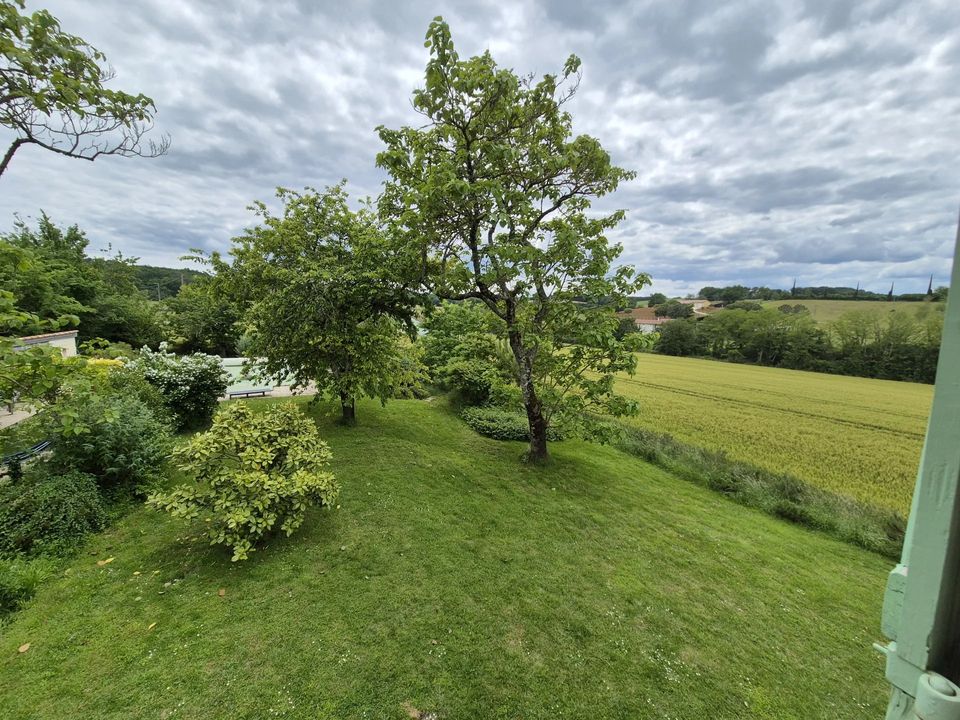 Villa i Buzet-sur-Baise, Lot-et-Garonne - foto 2