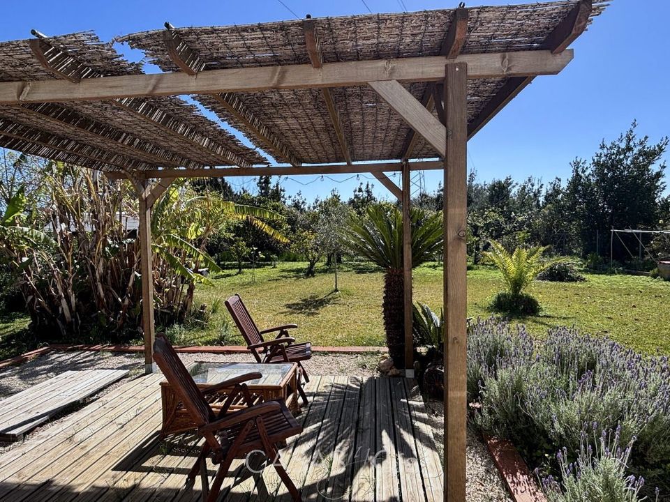 Villa i Oliva, Valencia - foto 1