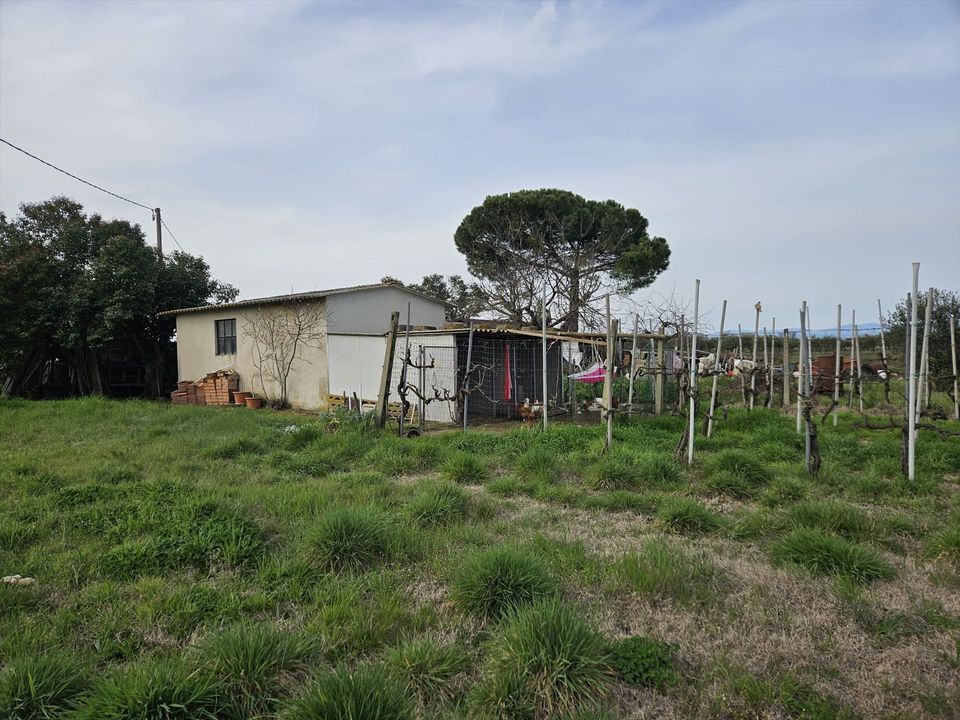 Helårsgrund i Castiglione del Lago, Perugia - foto 5