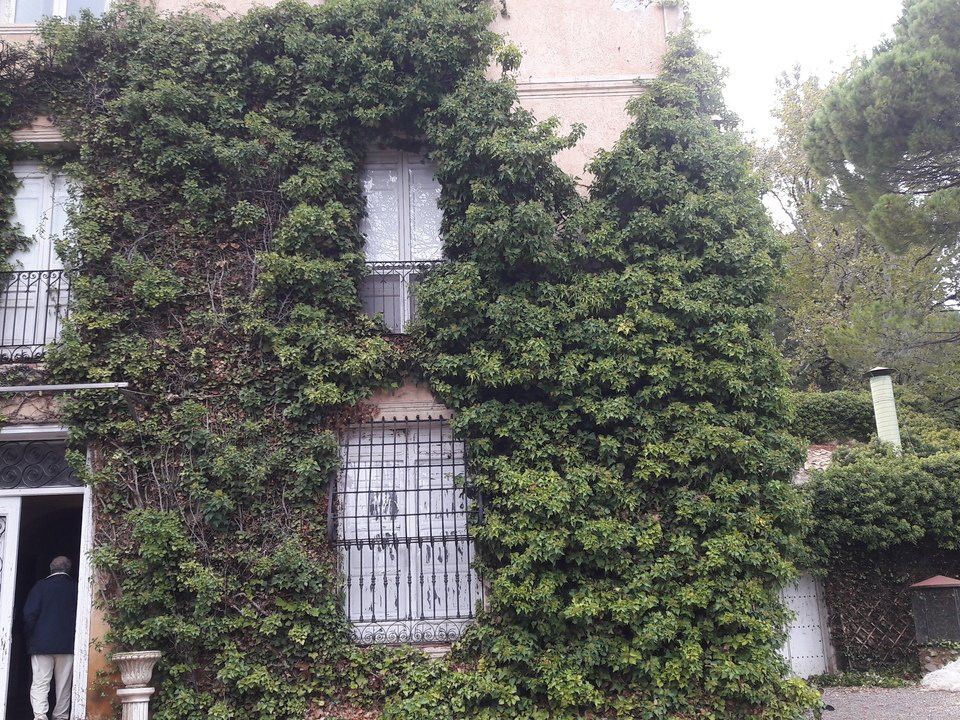 Landejendom i Murcia, Murcia - foto 5