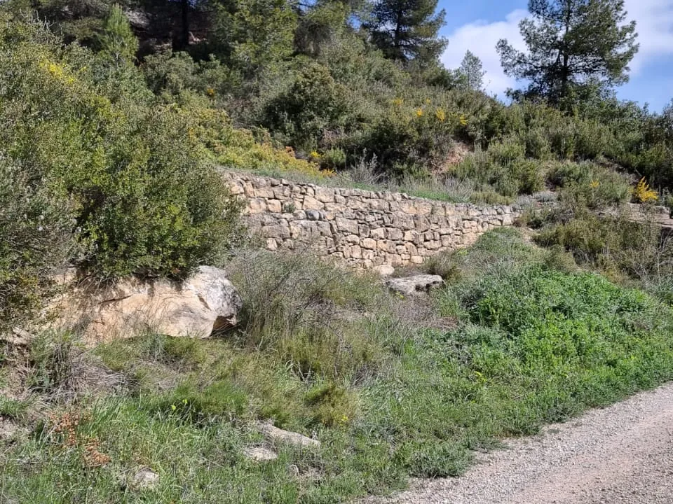 Finca i Caseres, Tarragona - foto 3