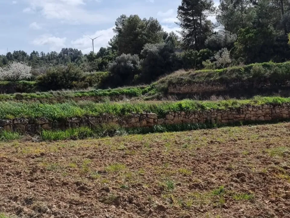 Finca i Caseres, Tarragona - foto 2