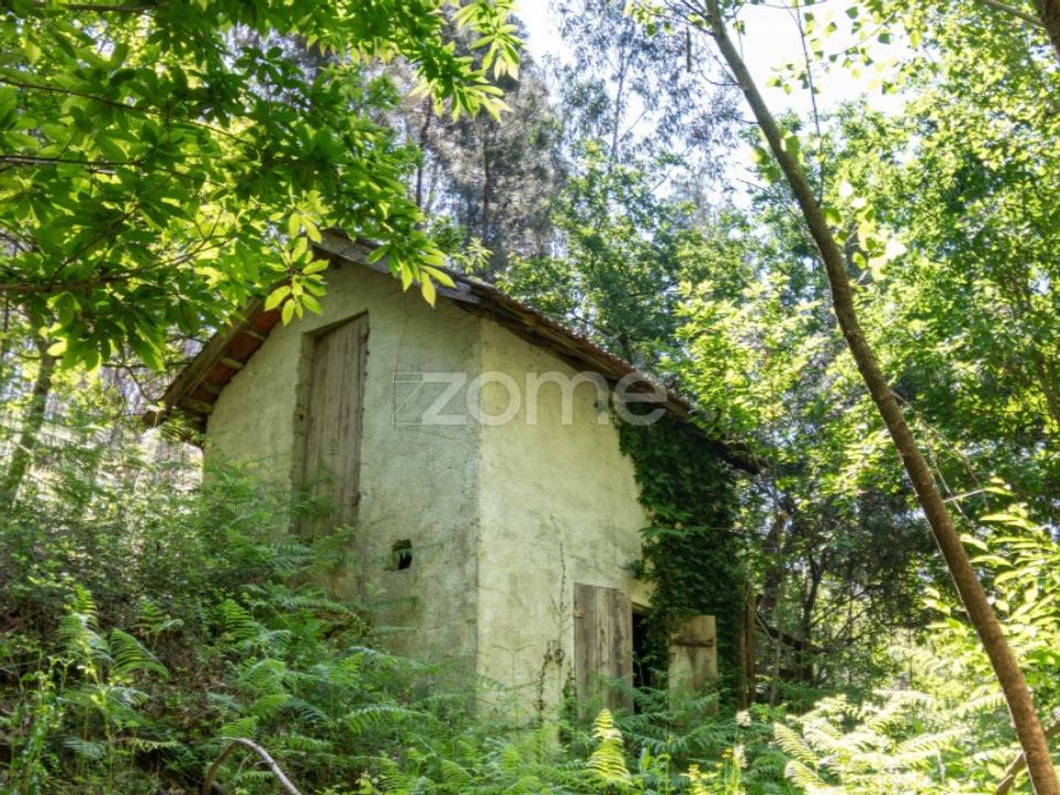 Helårsgrund i Celorico de Basto, Braga - foto 1
