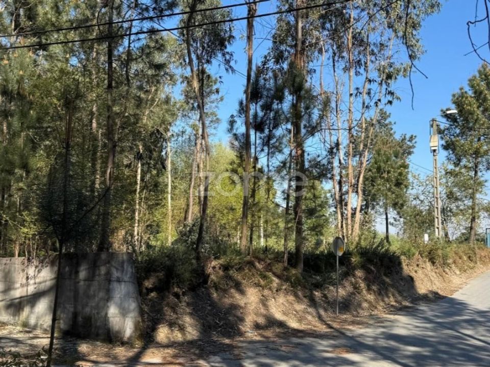 Helårsgrund i Vila Nova de Famalicao, Braga - foto 4