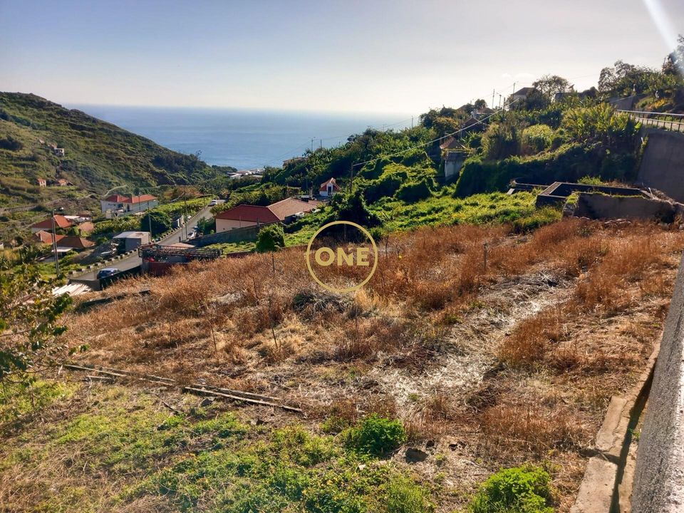 Helårsgrund i Ribeira Brava, Madeira - foto 4