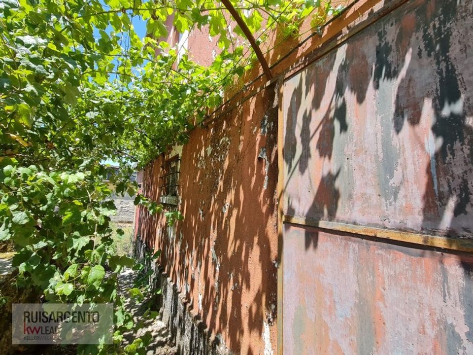 Villa i Santa Comba Dao, Viseu - foto 4