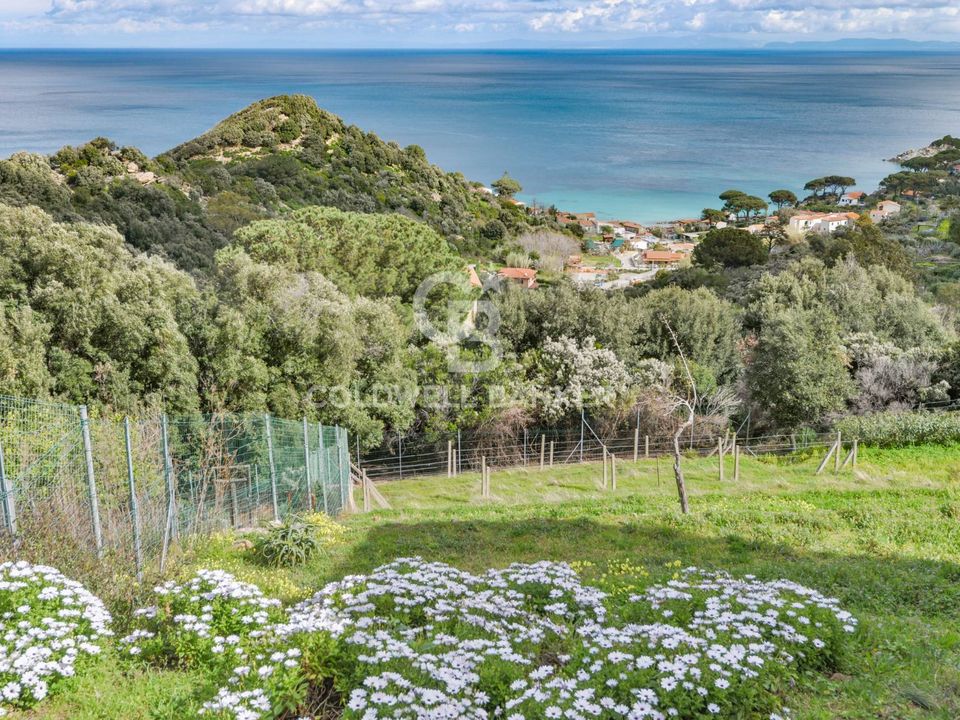 Villa i Marciana, Livorno - bilde 4