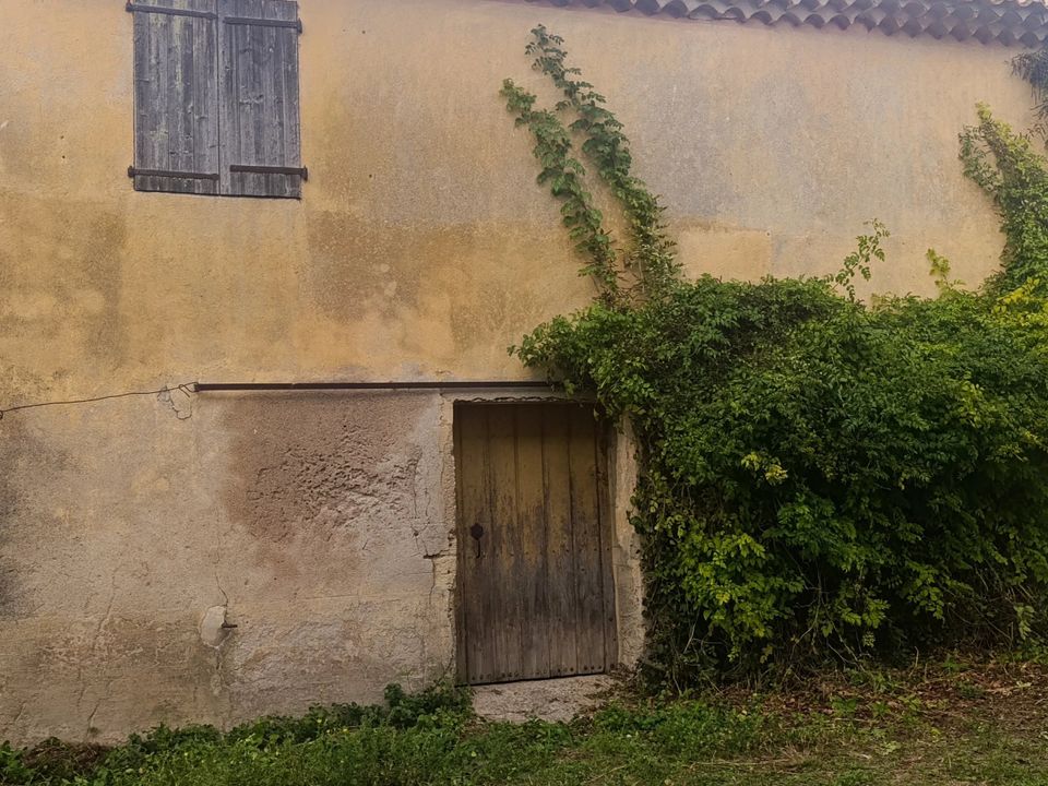 Erhvervsejendom i La Palme, Aude - foto 1