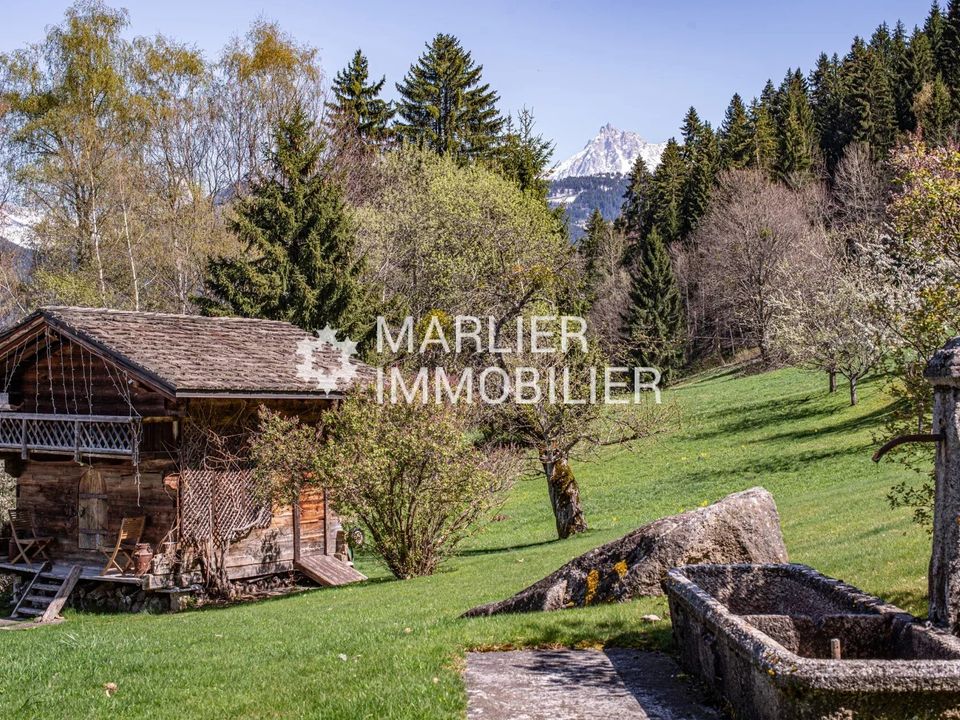 Træhytte i Combloux, Haute-Savoie - foto 3