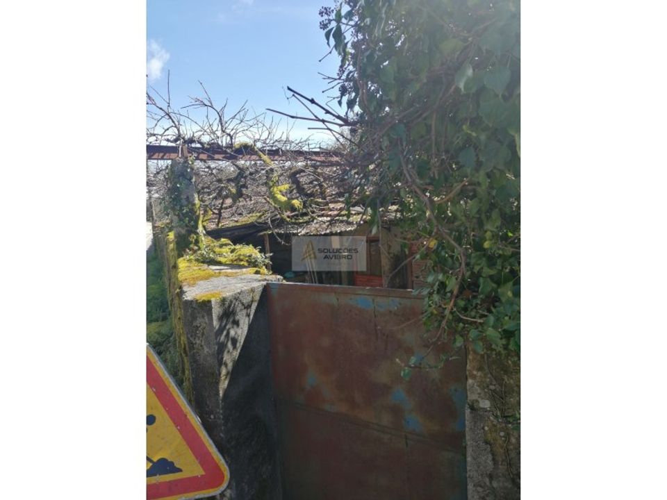 Masia a Talhadas, Aveiro - foto 3