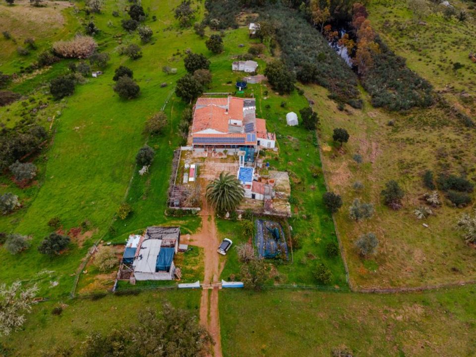 Farm in Serpa, Beja - photo 2