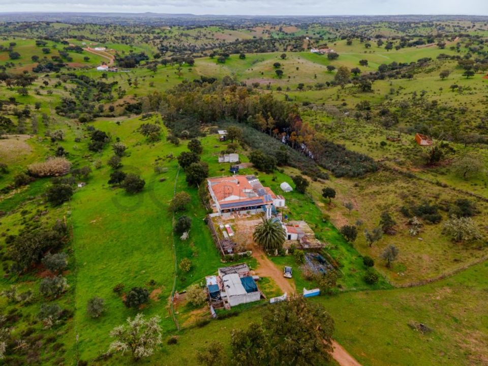 Farm in Serpa, Beja - photo 3