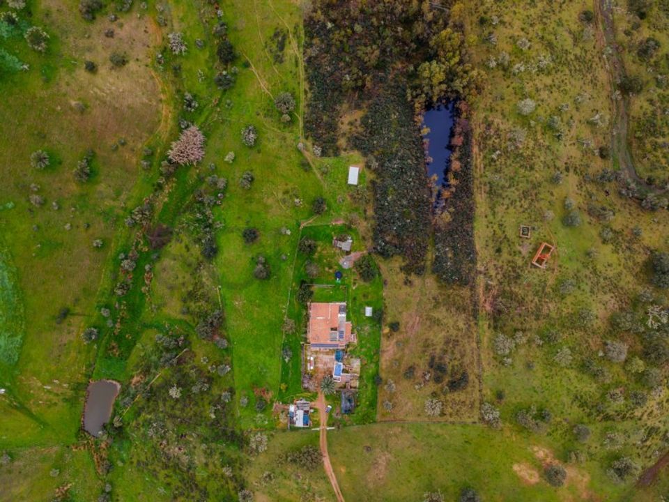 Farm in Serpa, Beja - photo 5