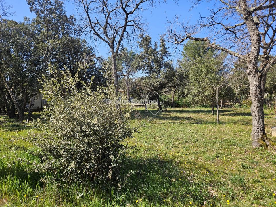 Tomt i Saint-Didier, Vaucluse - bilde 3
