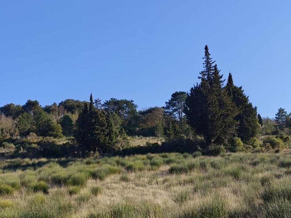 Helårsgrund i Limoux, Aude - foto 2