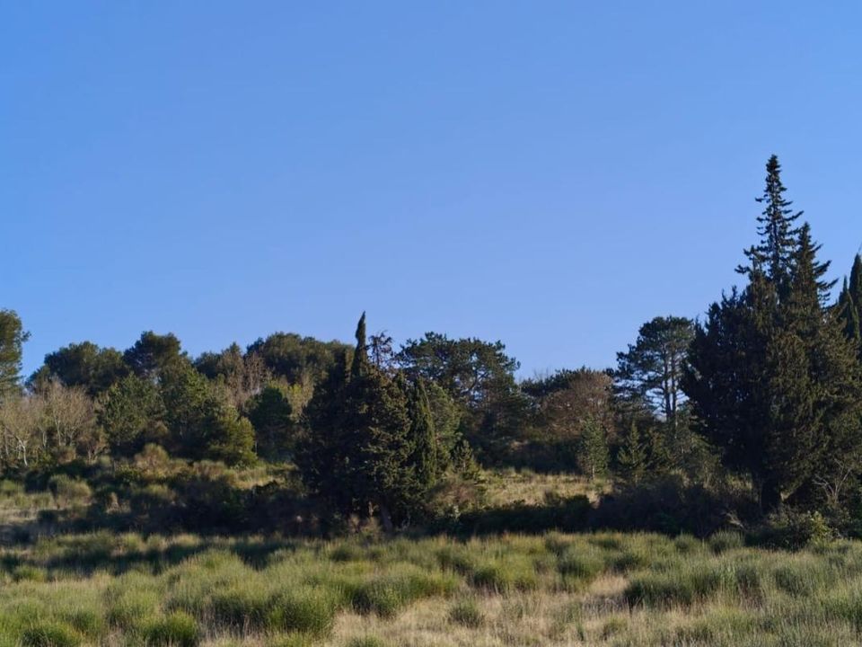 Helårsgrund i Limoux, Aude - foto 3