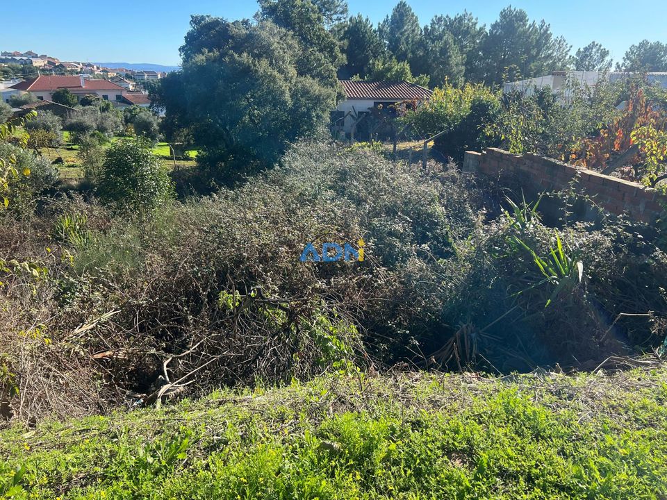 Helårsgrund i Cebolais de Cima, Castelo Branco - foto 1