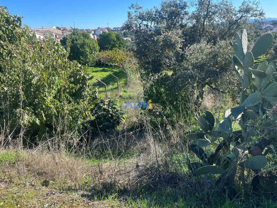 Helårsgrund i Cebolais de Cima, Castelo Branco - foto 4