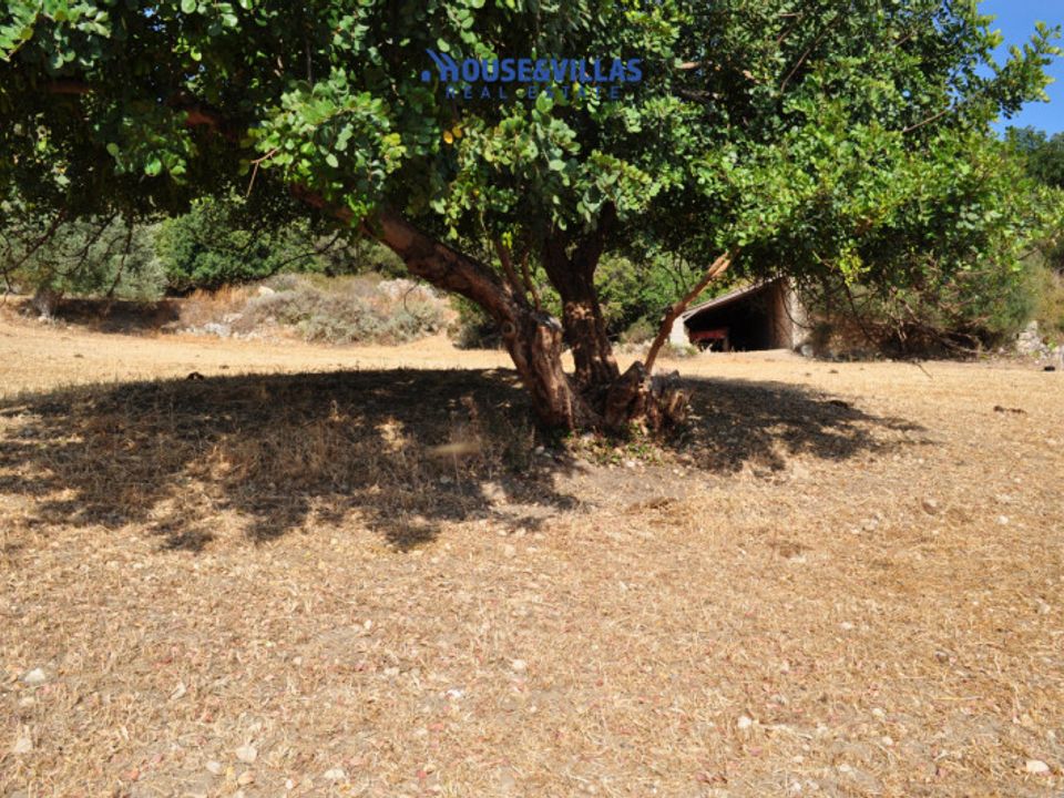 Villa i Noto, Siracusa - foto 4